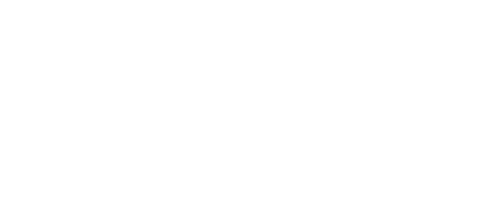 Logo San Camilo